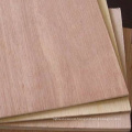 8.5mm bintangor face back packing plywood poplar core one time hot pressed